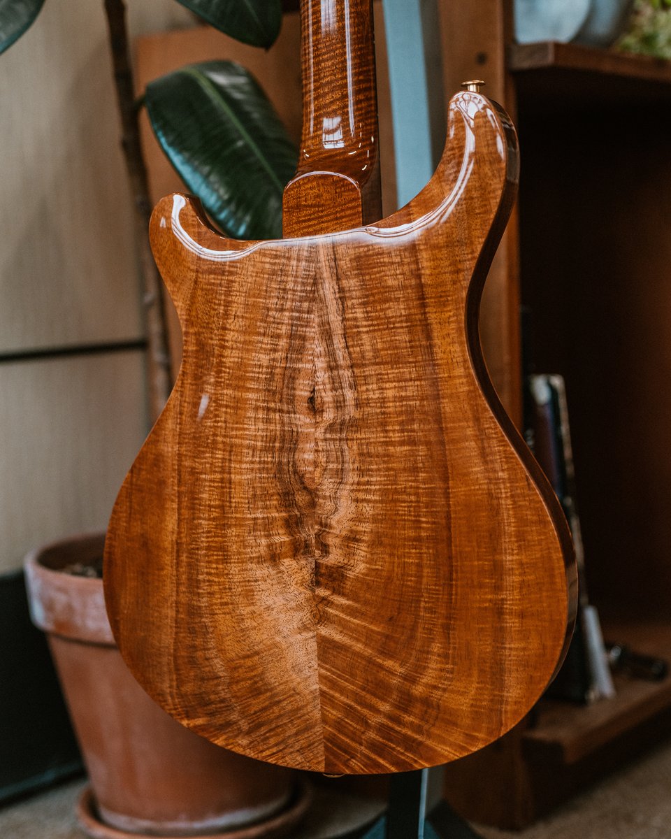 prsguitars's tweet photo. This Hawaiian Koa Hollowbody looks right at home among the flora 🤙 Happy #privatestockfriday! https://t.co/9mKG0ofujW