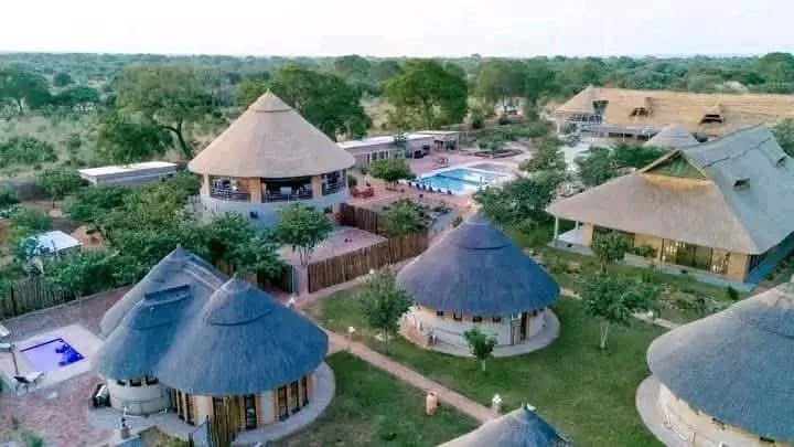 Futurist🇿🇼 tweet media