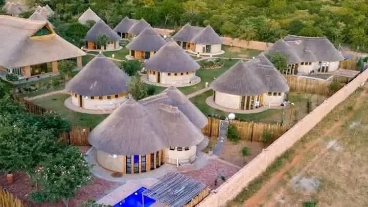 Futurist🇿🇼 tweet media