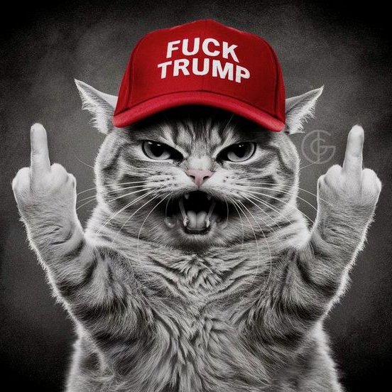 navahochick56's tweet photo. @AZ_Brittney ๐๐ฝ๐บ๐ธโ๏ธ๐ฆ
WTP agree ๐๐ฏ๐!!๐
#FvckTrump #NotAPresident ๐คก๐ฉ๐ https://t.co/9aX5ZDbqs2
