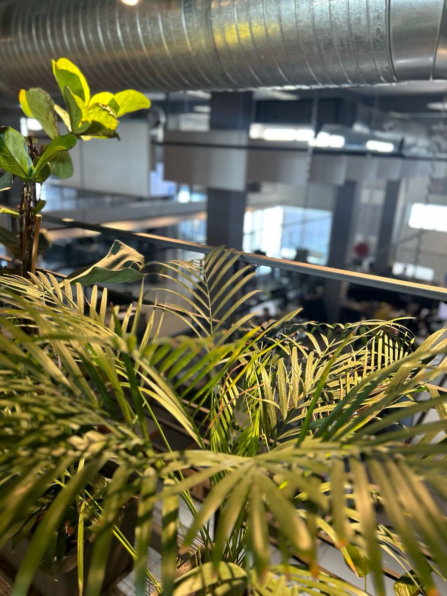 Angelos Gregoriou tweet media