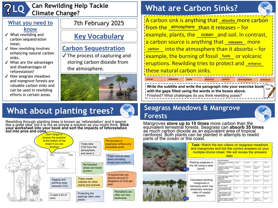markthegeographer 🌍 tweet media