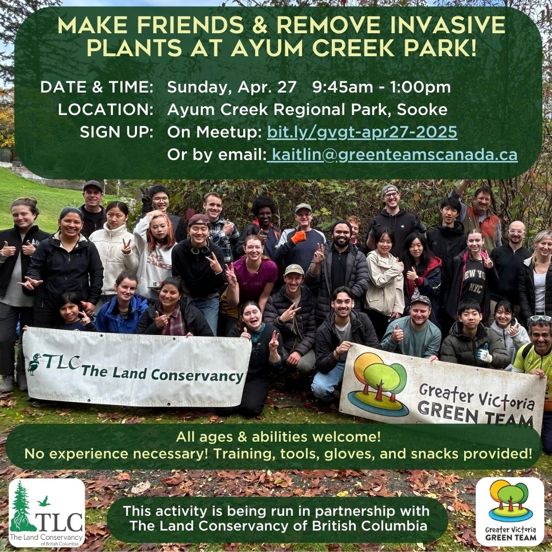 Join us on Sunday April 27th at Ayum Creek Park for a fun restoration activity with <a href="/TLC4BC/">The Land Conservancy</a>!  💚
Celebrate Earth Day together while removing invasive plants! 🌎
Everyone is welcome! Tools, Gloves, Instructions &amp; Snacks Provided!😋
RSVP: bit.ly/gvgt-apr27-2025