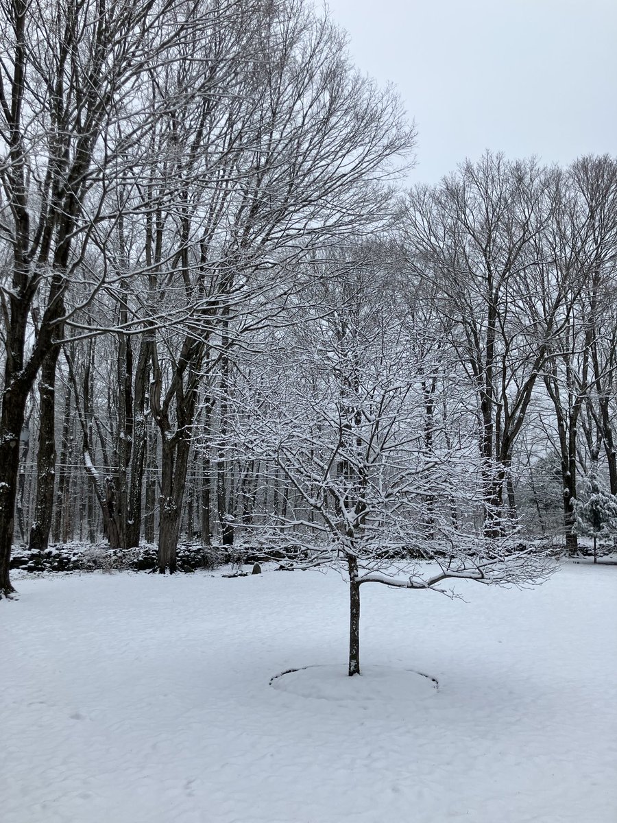 ⁦<a href="/RachelFrank_CT/">Rachel Frank</a>⁩ - Warren on Friday morning. It’s all melted already 😳