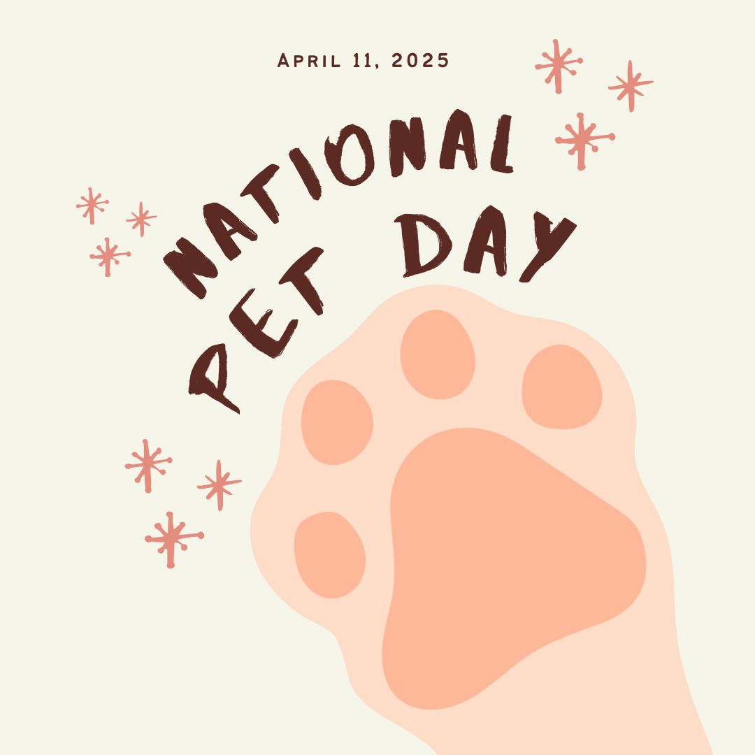 It’s National Pet Day, and we couldn’t let it pass without showing some love to the real MVPs of VerraWest—our residents' adorable pets! 🐾 Celebrate today by giving your furry friend a little extra love—and don’t forget to tag us in your pet pics so we can share the cuteness! 💚