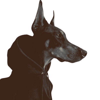 ᅟᅟᅟᅟ 𝓼t✮rk𝓫ᨣy : 𝓮dric ! tweet media
