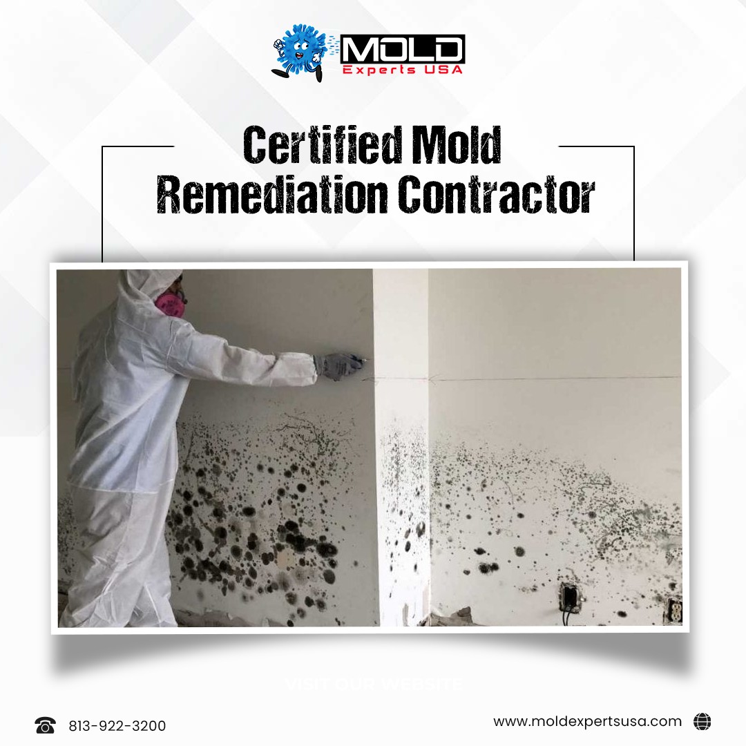 Mold Experts USA (@UsaMold) / Posts / X