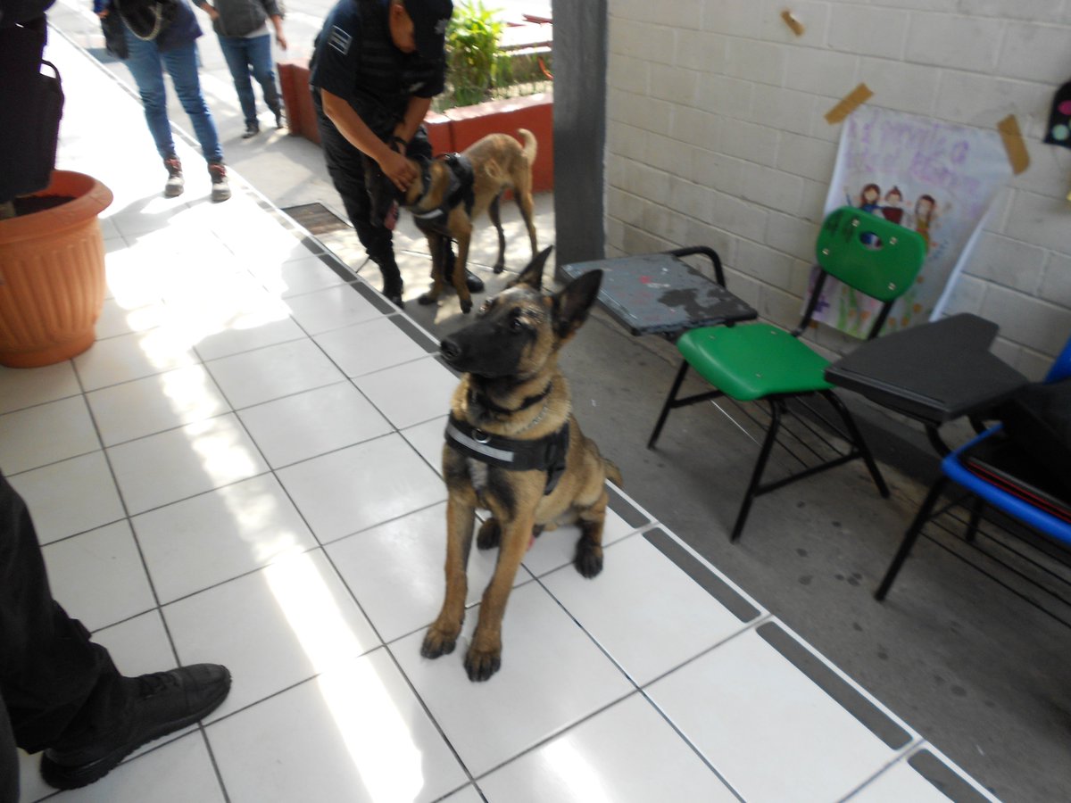 La Preparatoria Oficial Núm. 49, culmino el "Programa de mochila segura asistida por la Coordinación de Prevención del Delito y elementos del Grupo Canino.
<a href="/Edomex/">Gobierno del Estado de México</a>
<a href="/SEMSedomex/">SEMS</a>
<a href="/DGEMSedomex/">DGEMS</a>
<a href="/dbg_epoem/">Dirección de Bachillerato General.Estado de México</a>
<a href="/azucenacisneros/">Azucena Cisneros</a> 
<a href="/delfinagomeza/">Delfina Gómez A.</a>