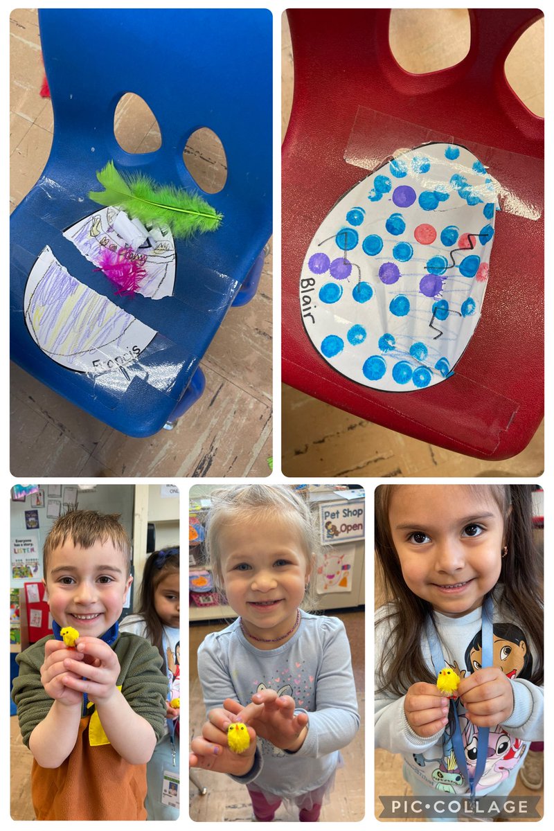 Ms. Megan’s students have been sitting on their eggs very patiently….and yesterday they hatched!! There were feathers all over the classroom, and a cute little chick 🐥 popped out of each cracked egg 🥚
