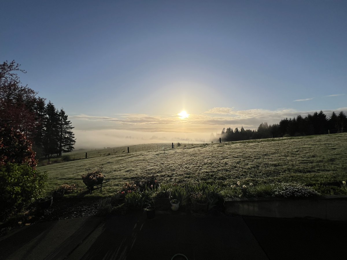 DewLegit's tweet photo. #pnw #spring https://t.co/2KzR0U1RIs