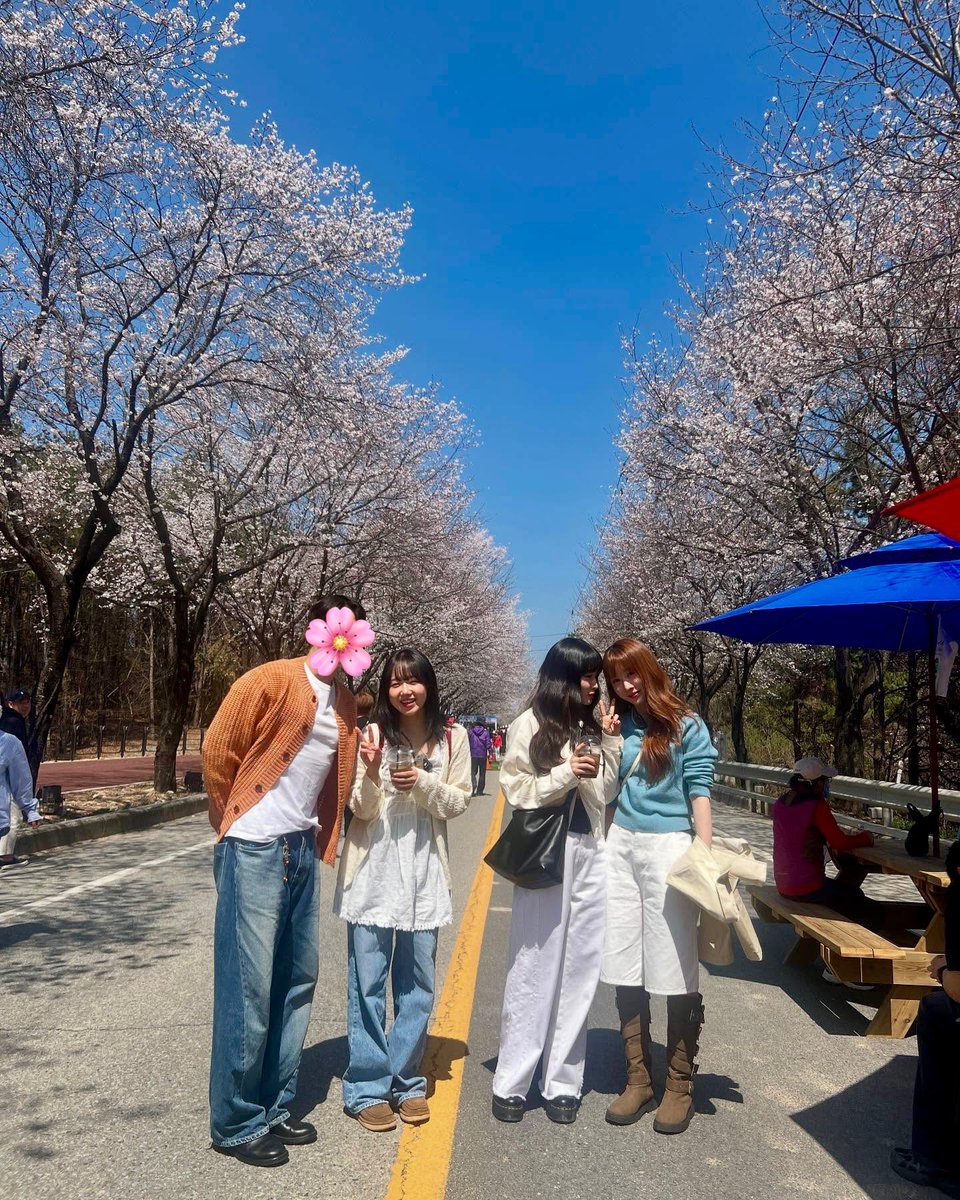 착장 합격 벚꽃 합격
무슨 떡밥인진 몰라도 일단 합격