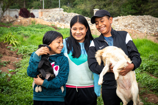 unicefguatemala's tweet photo. Las mascotas son más que compañeros, son parte de la familia. Crecer junto a un animal fortalece la empatía, la responsabilidad y el bienestar emocional de la niñez. Cuidarlos con amor es también enseñar valores que duran toda la vida. https://t.co/U7HLjsWKtd