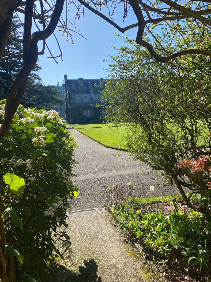 UCC Learning and Teaching tweet media