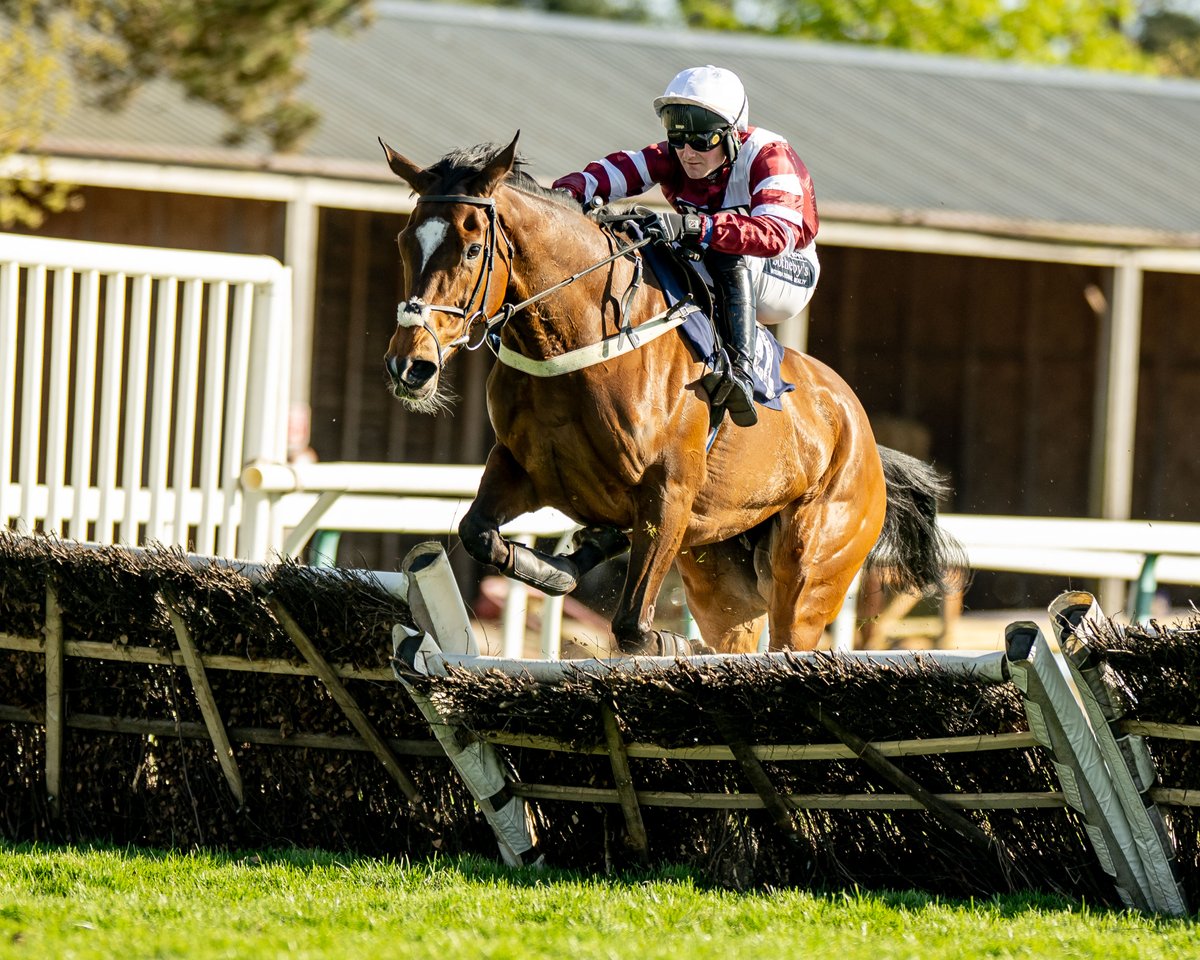 Race 6: The <a href="/betgoodwinuk/">BetGoodwin</a> Free Bet Nose Losers Mares' Novices' Limited Handicap Hurdle Race

🥇 Bluenose Belle
🥈 Arena Del Tiempo
🥉Bobbigrey

Jockey: <a href="/lambert_finn/">Finn Lambert</a>
Trainer: Richard Philips
Owner: Geoff Lansbury