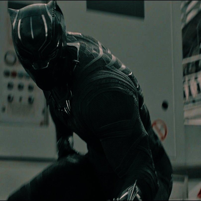 T’Challa quietly lands behind the reader as they were in the middle of a scuffle and the person fighting with the reader had his eyes widened in fright as the Black Panther rises to his full height. “Would you require a hand?” His modulated deep voice commanded confidence.