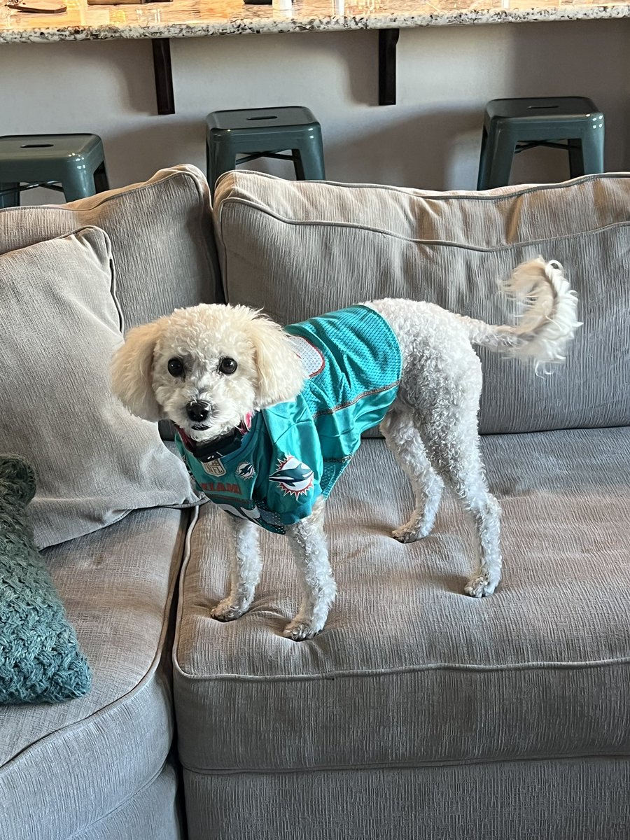 Pamela Ann tweet media