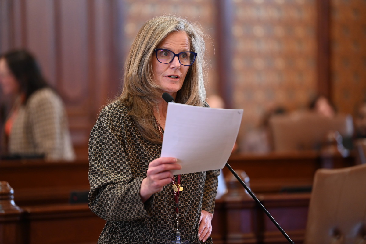 senatorellman's tweet photo. Senate Bill 8 represents a critical step in making Illinois safer. By strengthening our state’s gun laws, we can both promote  responsible gun ownership and protect our communities from unnecessary harm.

Read more: https://t.co/Oom6QrcMQB https://t.co/9lrkMJJntj