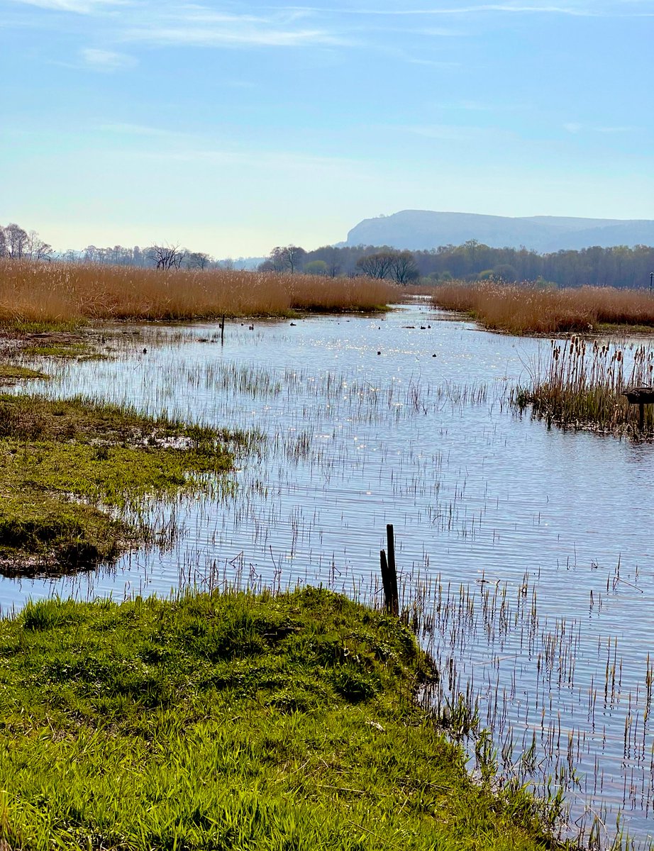 Where's Willie? Not the biggest stretch of water in the vicinity but great for twitching.