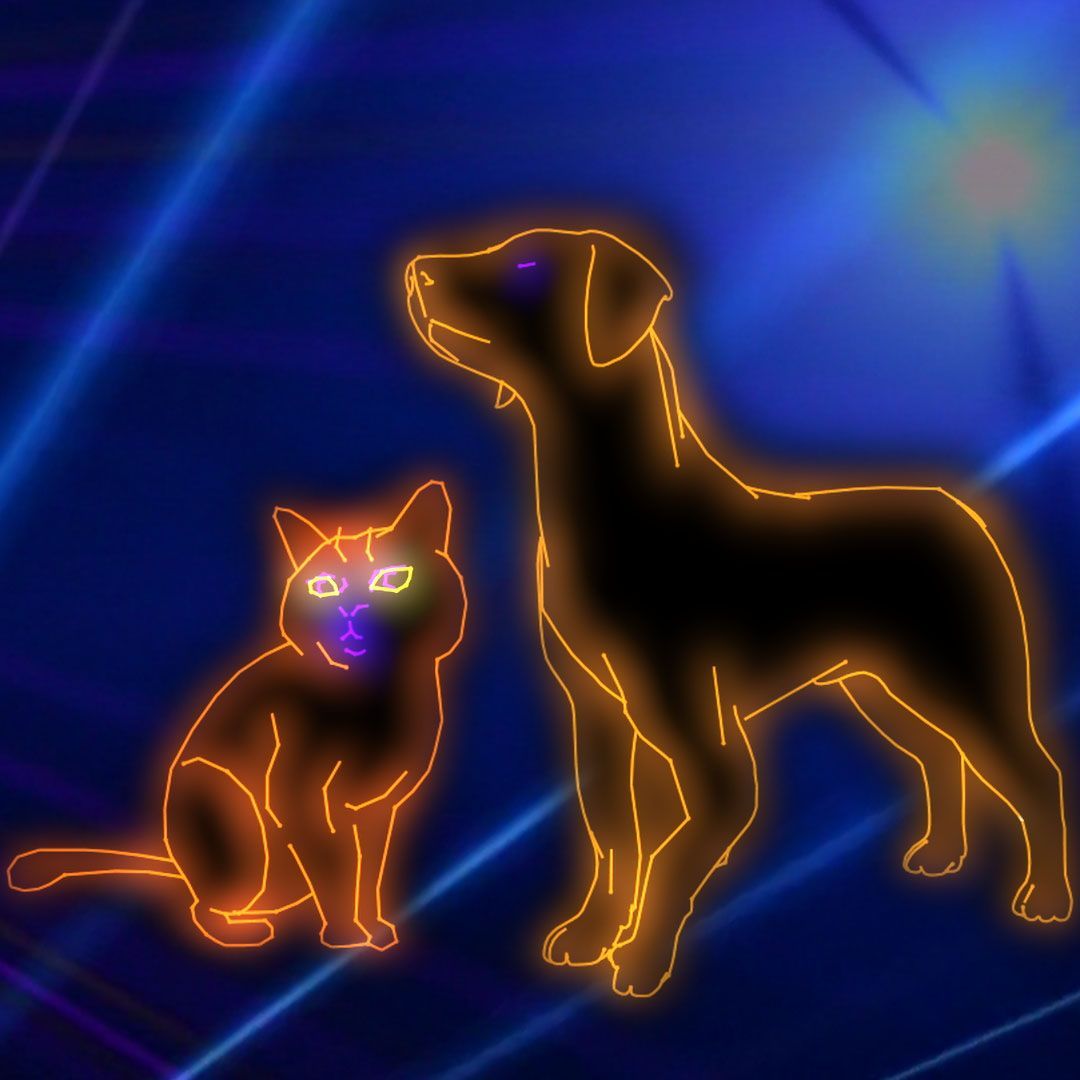 pmlaserprograms's tweet photo. National Pet Day celebrates the joy and companionship pets provide, give your furry friend an extra hug today! #nationalpetday #mansbestfriend🐶 #prismaticmagic #schoolassembly https://t.co/85pYUk8PTG