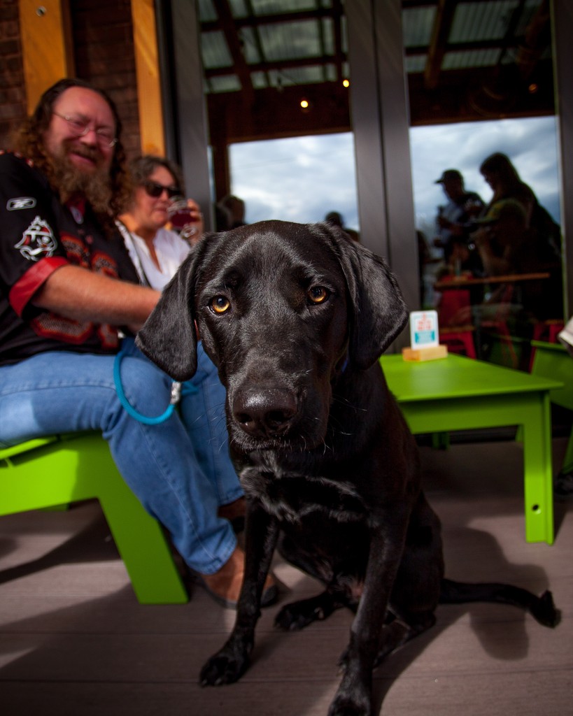 bentpaddlebeer's tweet photo. Happy National Pet Day! We are once again, asking you to bring your pets ☺️ https://t.co/HRghAXVoGK