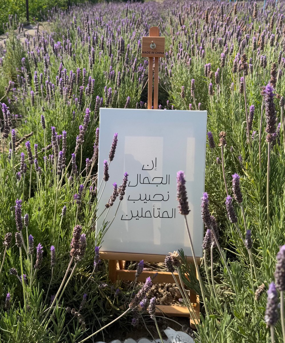 رَهف | tweet media