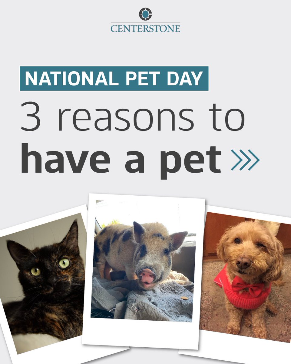 Centerstone tweet media