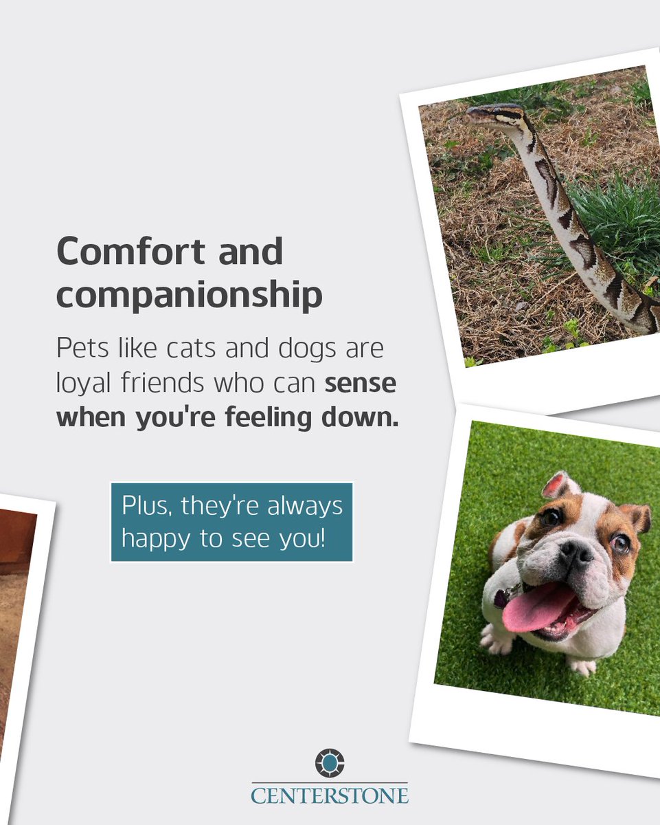 Centerstone tweet media