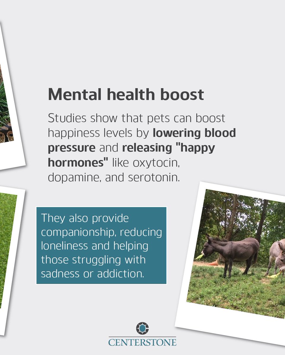 Centerstone tweet media