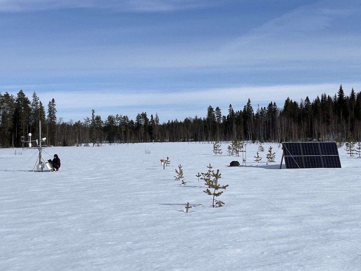REWET_HE's tweet photo. Ylpässuo Kiuruvedellä ennallistetaan! 11 ha suoalue tukee suoluonnon suojelua, ilmastotutkimusta ja virkistystä. #rewet #ennallistaminen #luonto #ilmasto #suot
https://t.co/DovZLLfWTz https://t.co/u7QdPZaZhp