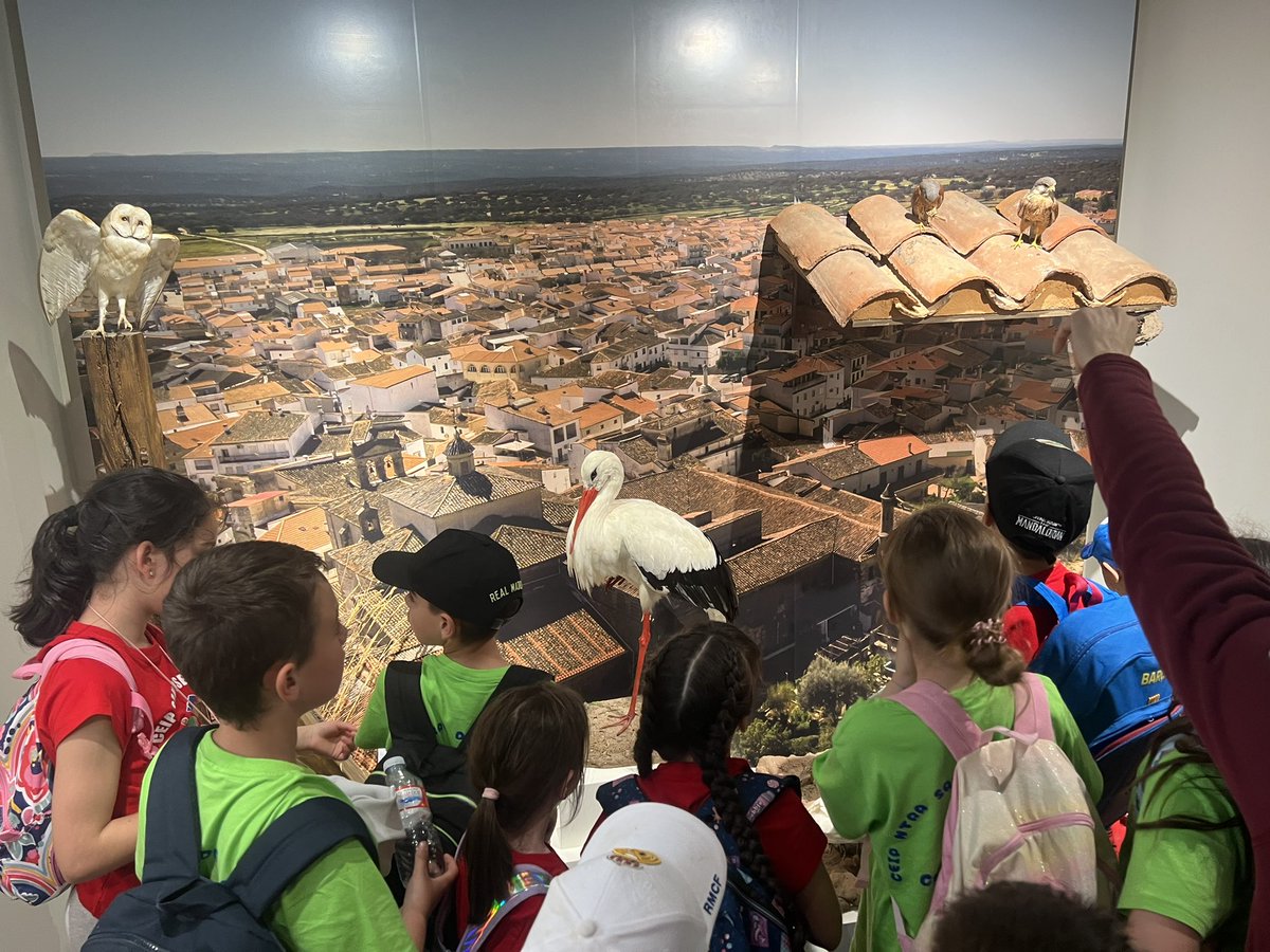 Gran salida al Parque Nacional de Monfragüe @pnmonfrague  con nuestros amigos de Portaje y Casilllas de Coria.
Avistamiento de aves en el Salto del Gitano, ruta senderista al Castillo de Monfragüe, y visita a los centros de interpretación en Villareal de San Carlos.