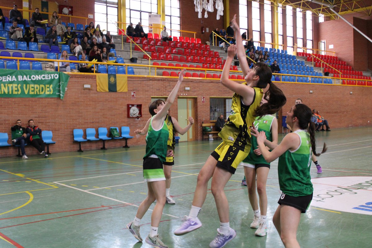 fbclm's tweet photo. #LigaUCLM🚺 |  Final Q2 | Jornada 1
🏀 @BASKETCERVANTES 18-30 @CEIToledo 
💻Streaming👇
https://t.co/OUe5JfgnYU
📊STATS by @SwishAllHoops
📸Flickr FBCLM
#PasionXBasketCLM https://t.co/x23QzU4yOw