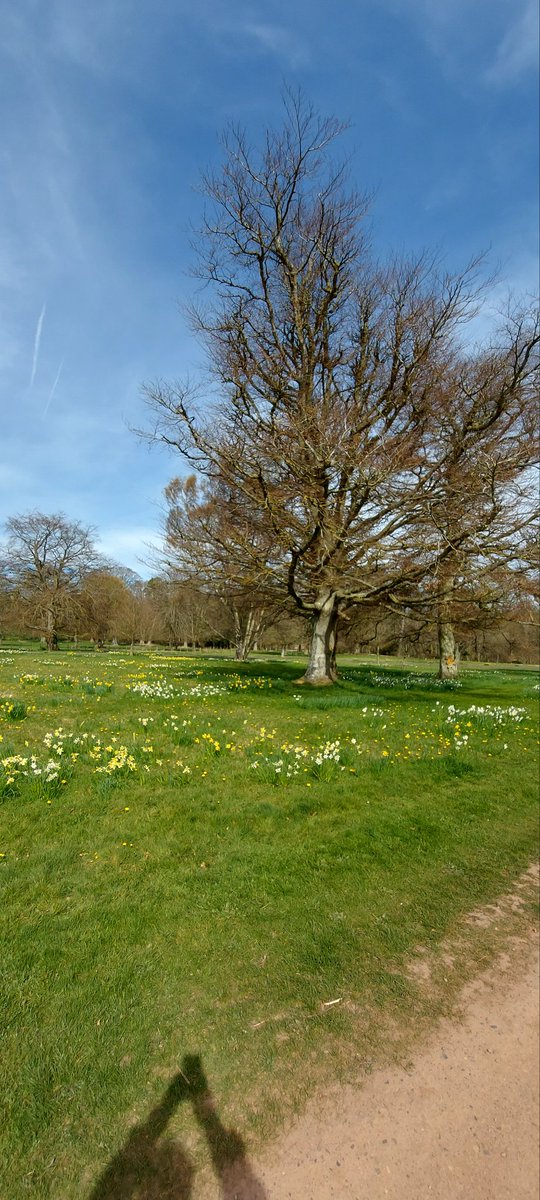Michael50392771's tweet photo. Paxton House https://t.co/QrPh2BkvAo