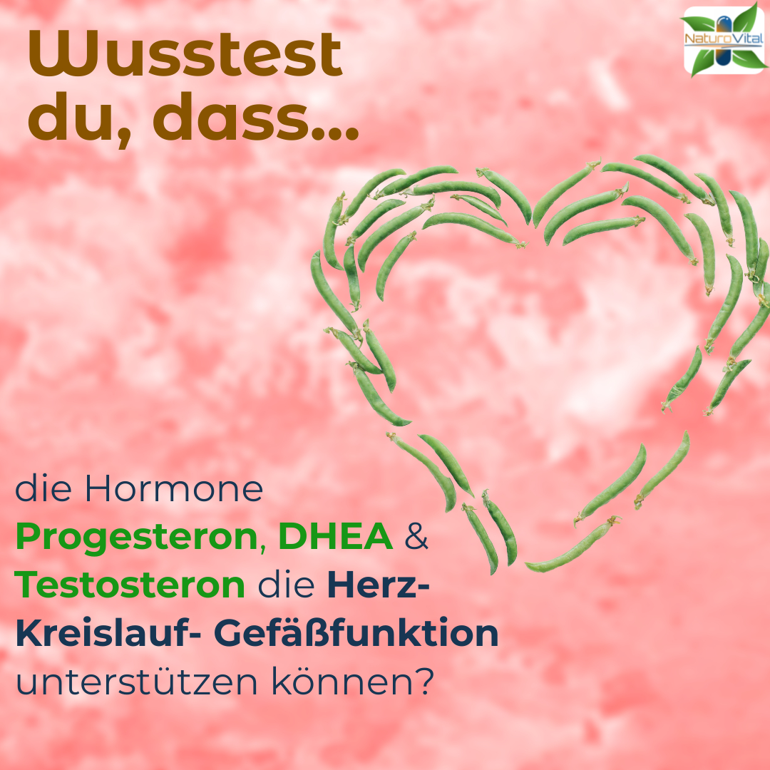 naturo_vital's tweet photo. ❤️ Hormone und dein Herz: Ein starkes Team für deine Gesundheit!

https://t.co/DSExlFIZxL

#Herzgesundheit #Hormone #DHEA #Progesteron #Testosteron #NatürlicheGesundheit #HerzKreislauf #Vitalität #Hormonsystem #GesundAltern #Prävention https://t.co/TpatRWqtsr