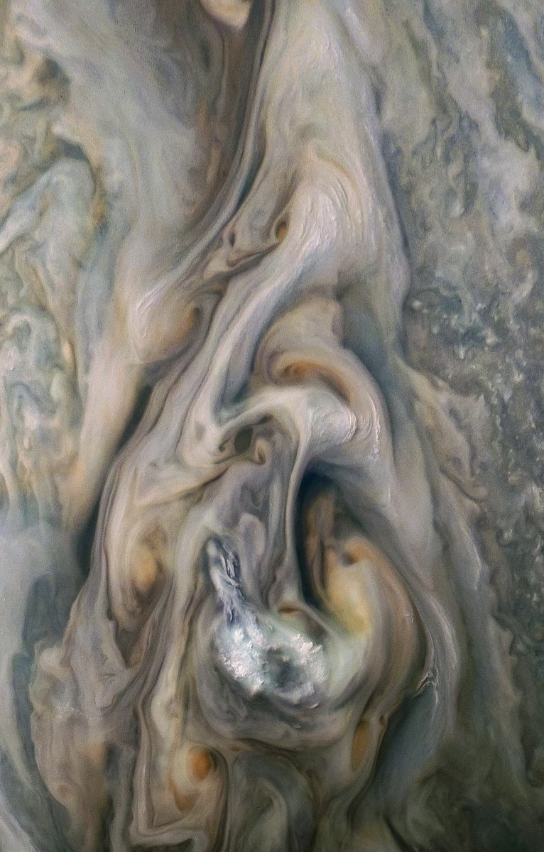 BOS Planet tweet media