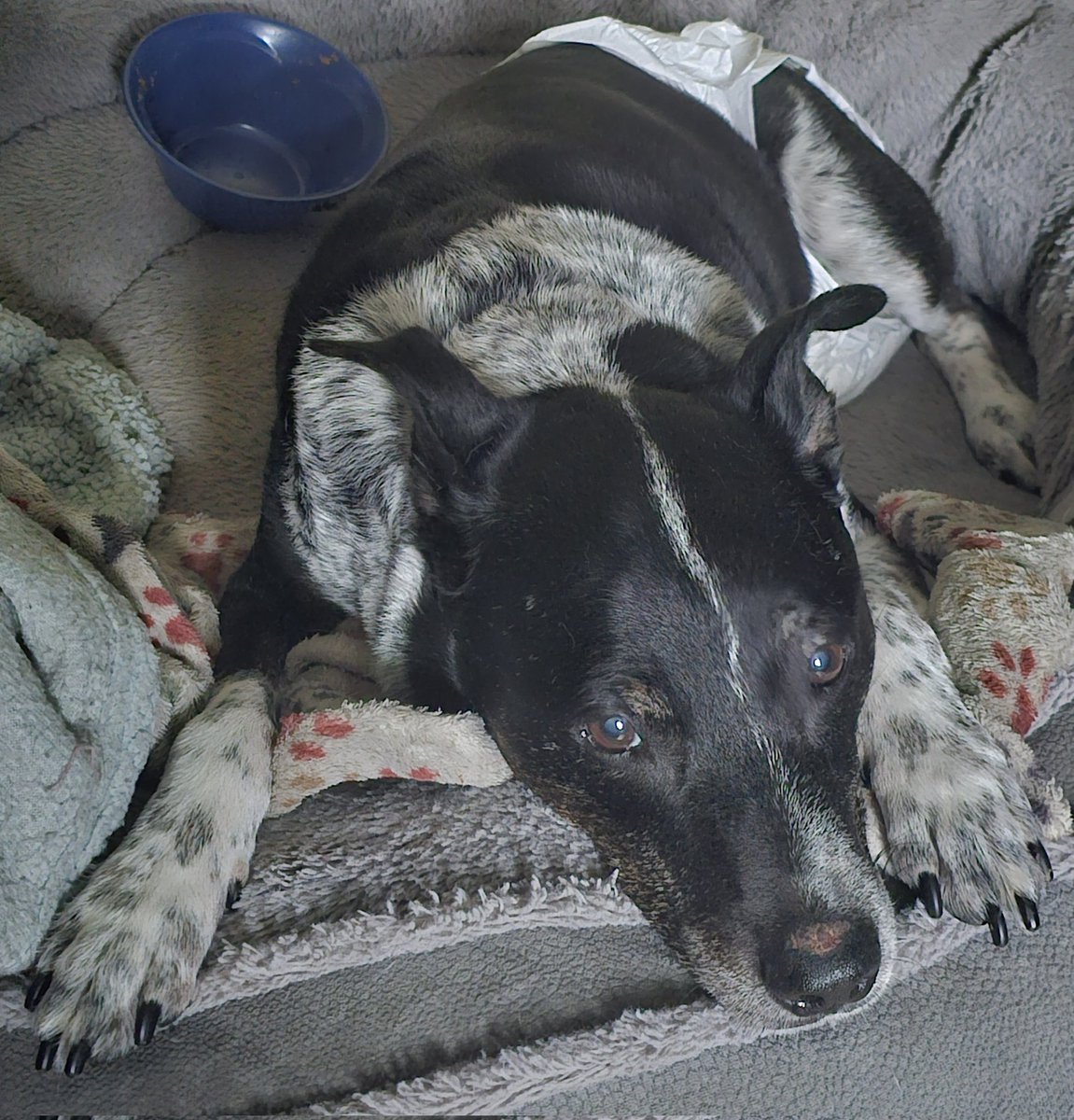 jennifer wattles 💙 tweet media