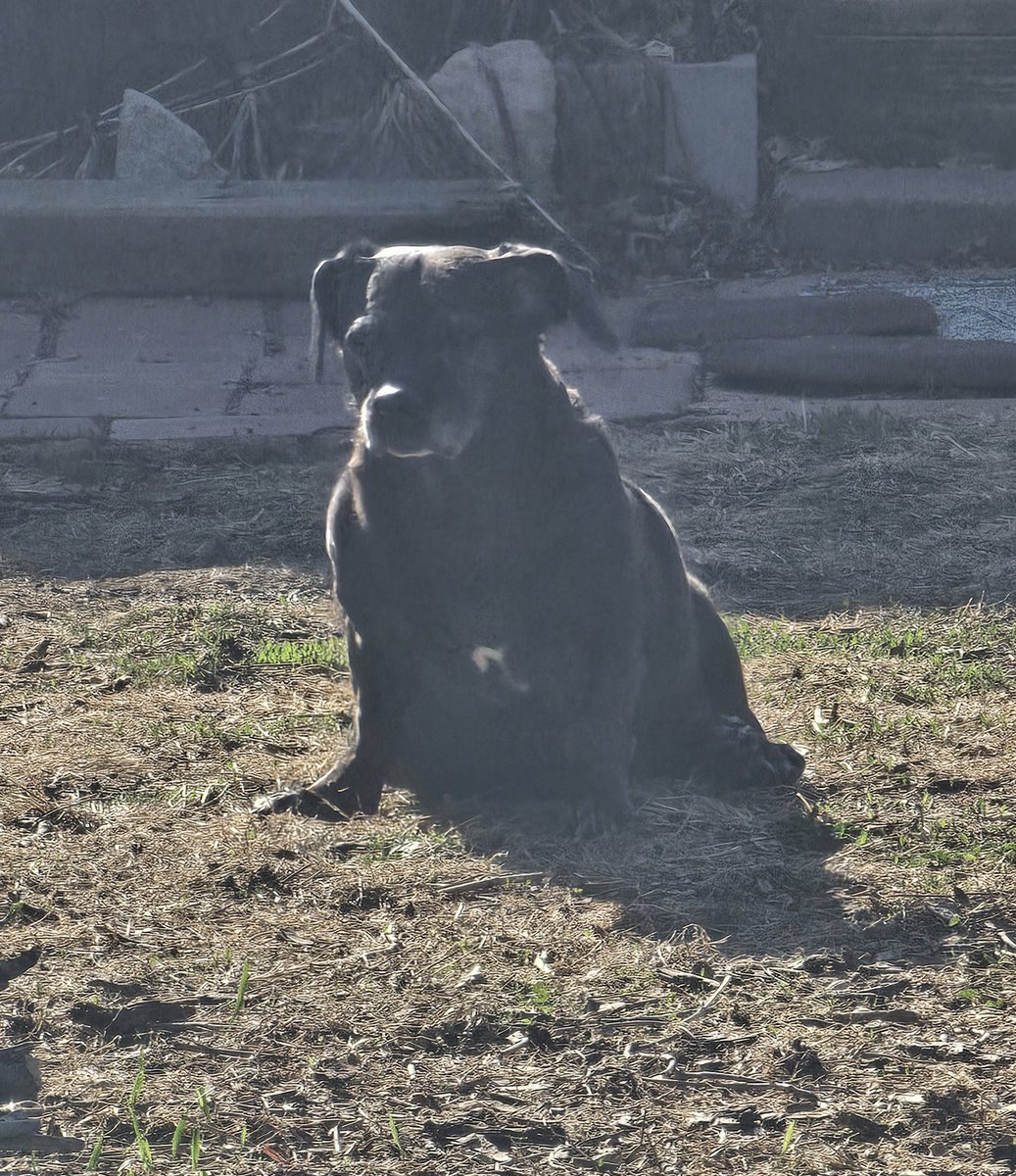 jennifer wattles 💙 tweet media