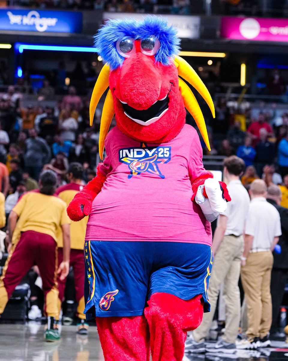 Freddy Fever (@freddyfever) on Twitter photo celebrated 100 days out from the 2025 WNBA All-Star Game at last night's <a href="/Pacers/">Indiana Pacers</a> game ⭐ celebrated 100 days out from the 2025 WNBA All-Star Game at last night's <a href="/Pacers/">Indiana Pacers</a> game ⭐