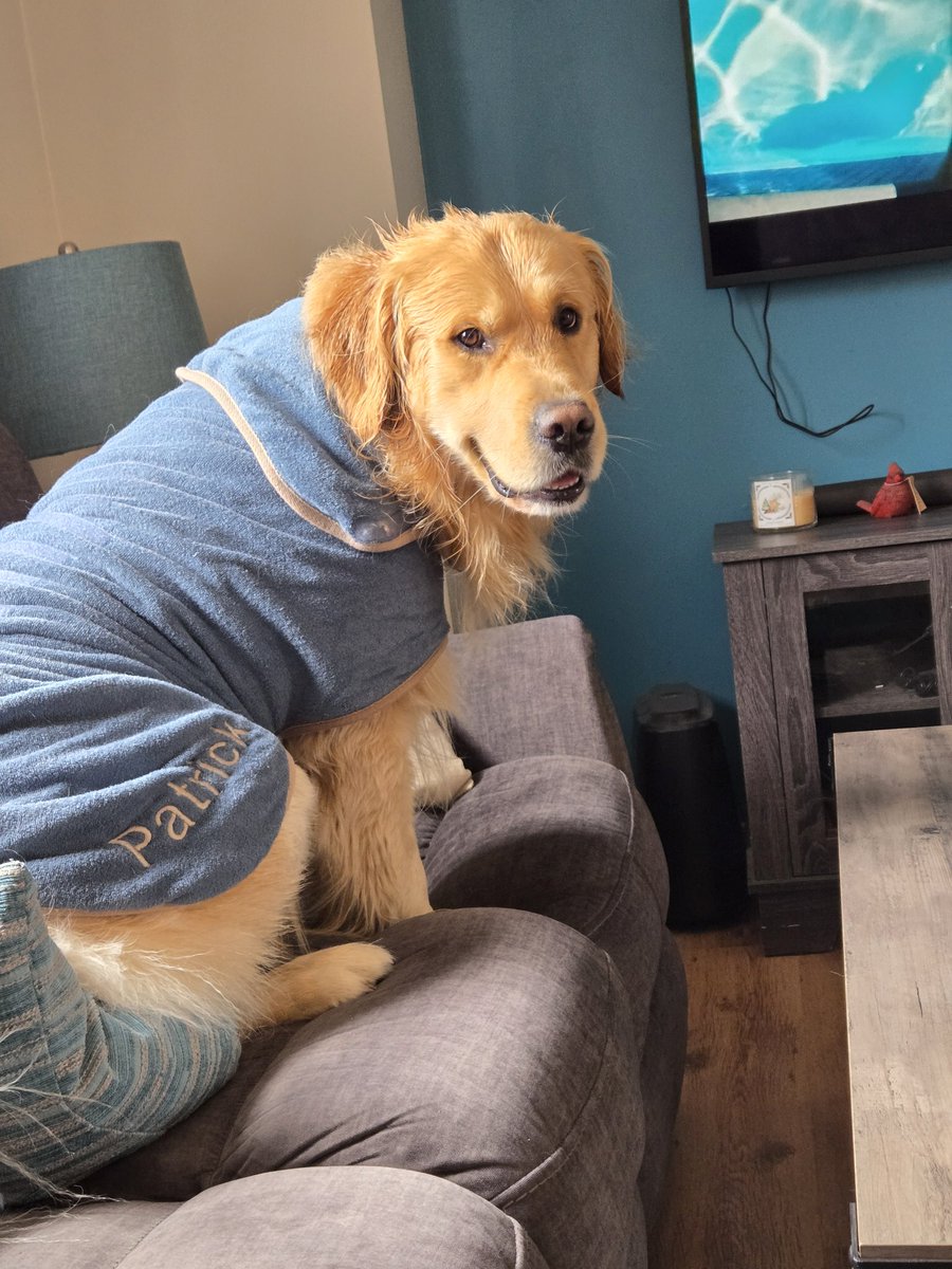 Courtney, Gracie & Patrick 🇨🇦🍁⚾️🌸🌱 tweet media