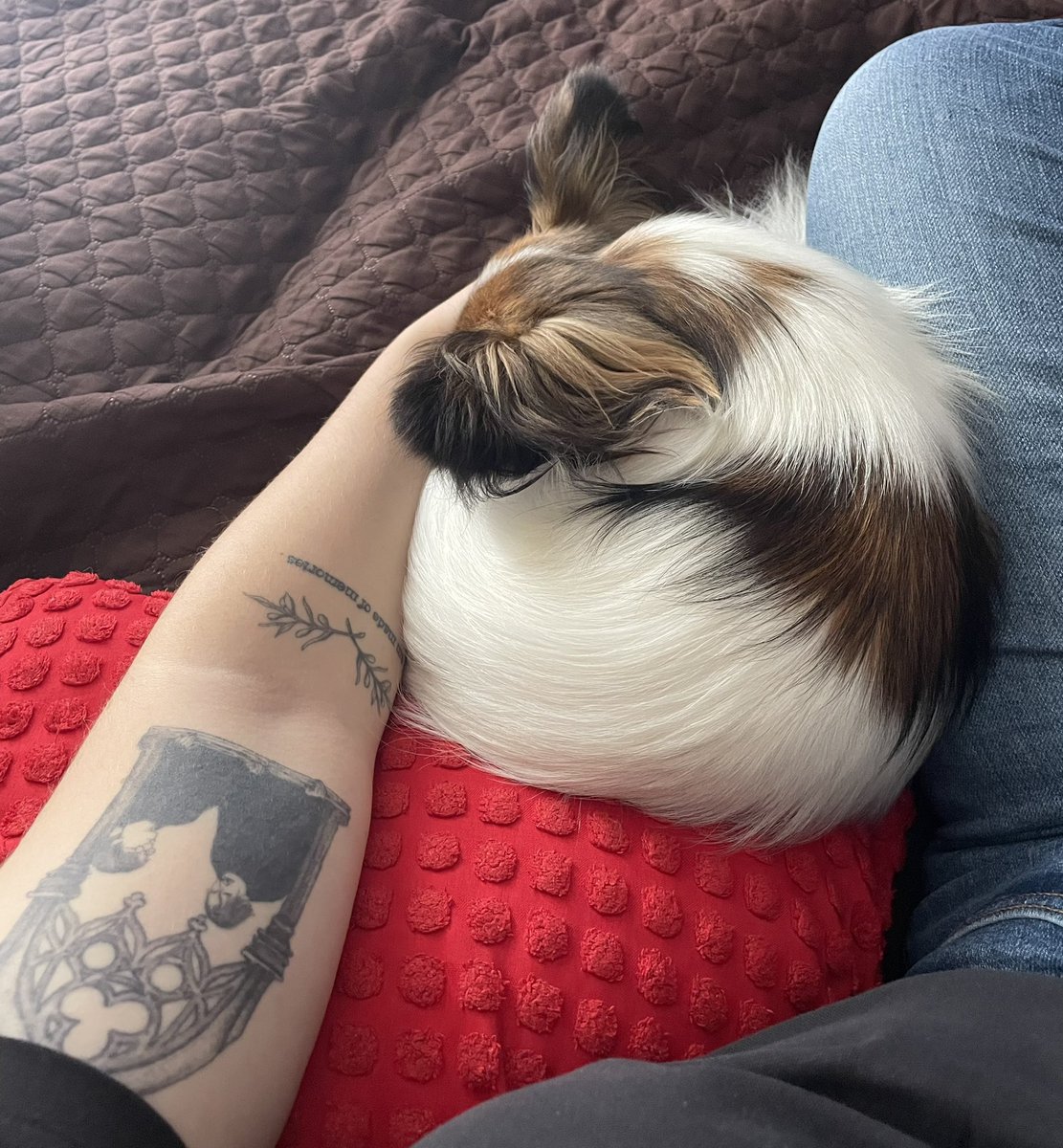 my lil donut