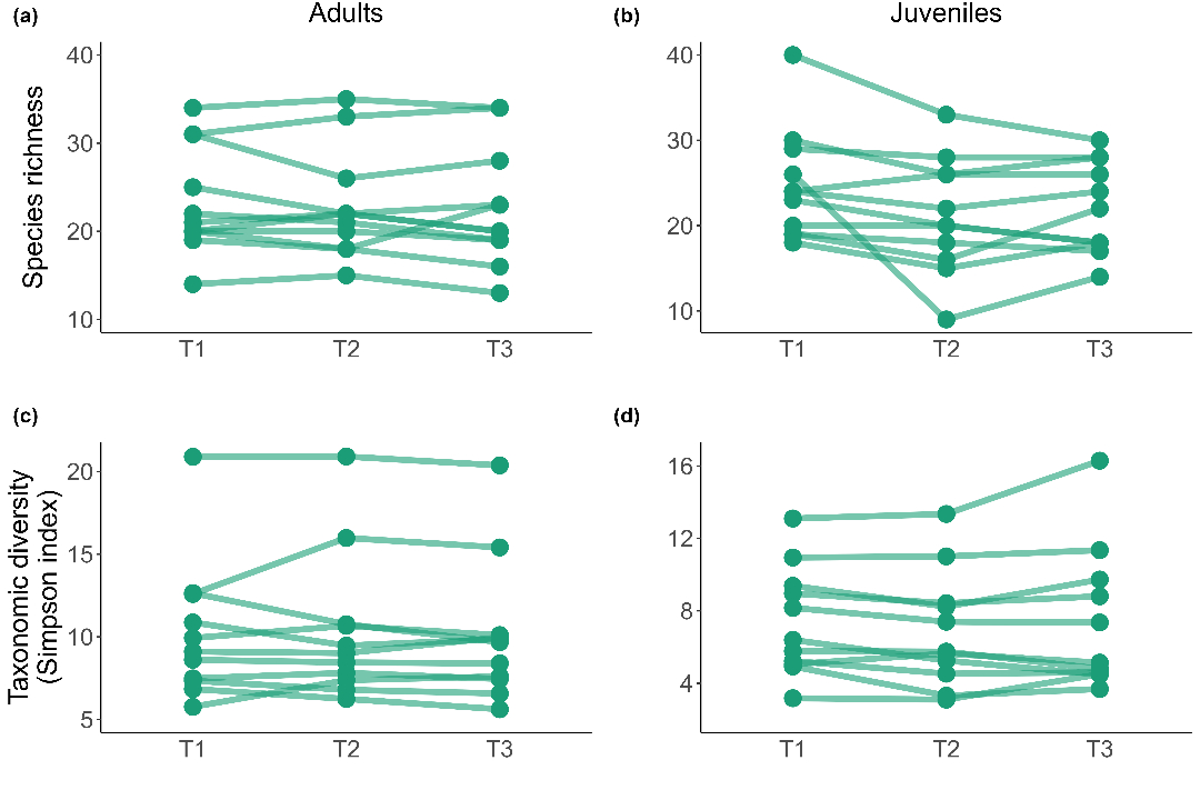 Temporal changes in taxonomic and functional alpha and beta diversity across tree communities in subtropical Atlantic forests

doi.org/10.1111/oik.10…

📷 © Jean M. Freitag Kramer

#BiodiversityChange #BioticHomogenization #TemporalChanges #BiodiversityTrends #CommunityStability