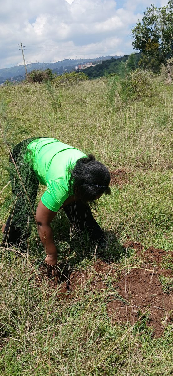 WanjiruRuthG's tweet photo. I spent the better part of the day planting trees in Ngong at Kabete AHITI farm. I planted more the 30 trees. Kudos to me. https://t.co/6mZXnIbTgB