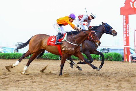 KuwEquestrian's tweet photo. سجل الجواد ( تريل جوي )
فوزا كبيرا بالشوط الثالث بمسافة ٢٤٠٠متر
وذلكً بالاجتماع الثاني والعشرين الذي اقيم بالأمس https://t.co/94Hr1PxyQ6