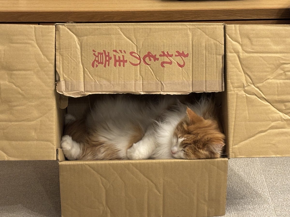 Einy_N's tweet photo. われものww https://t.co/QvO49UfSkT