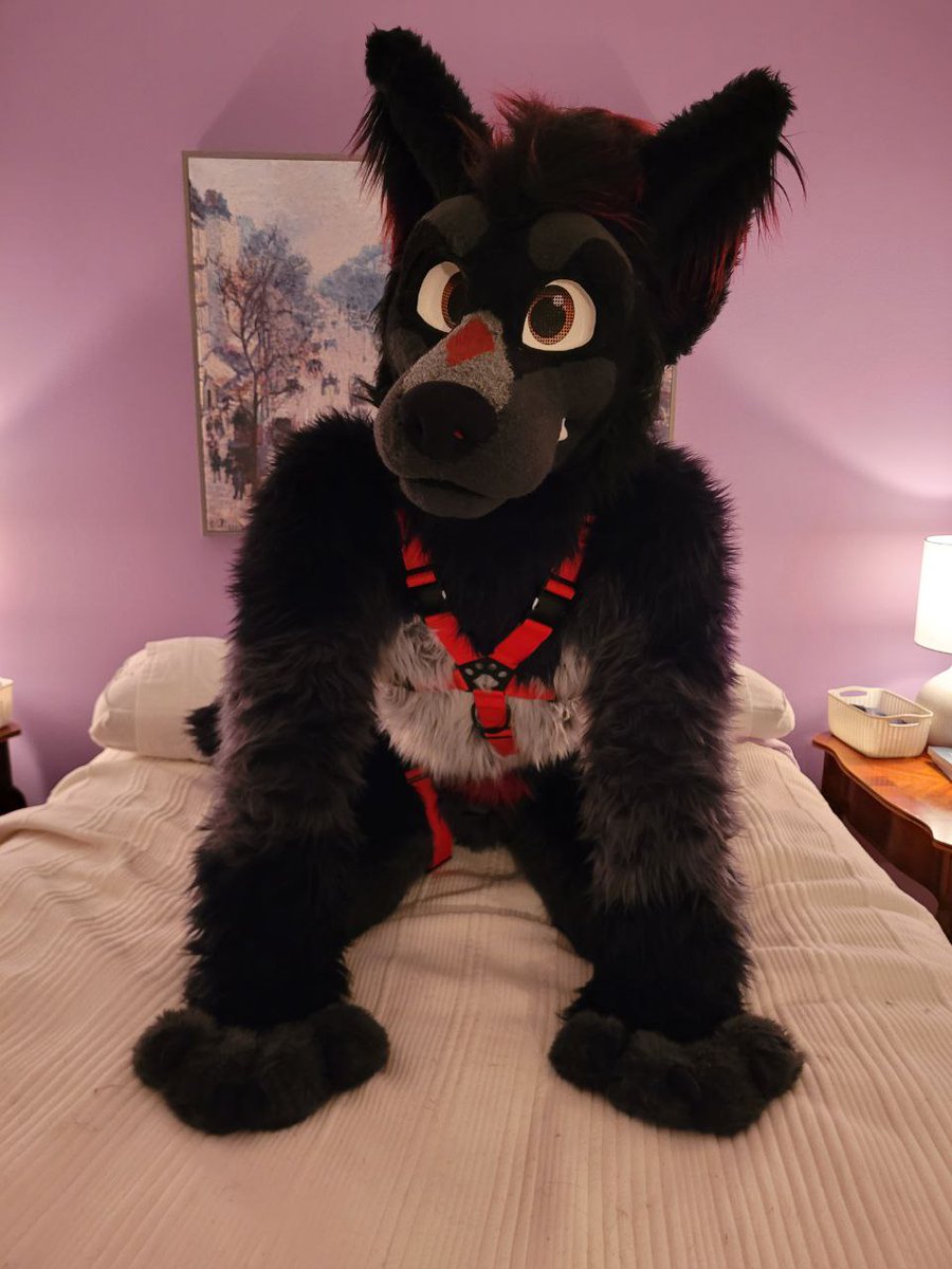 #FursuitFriday