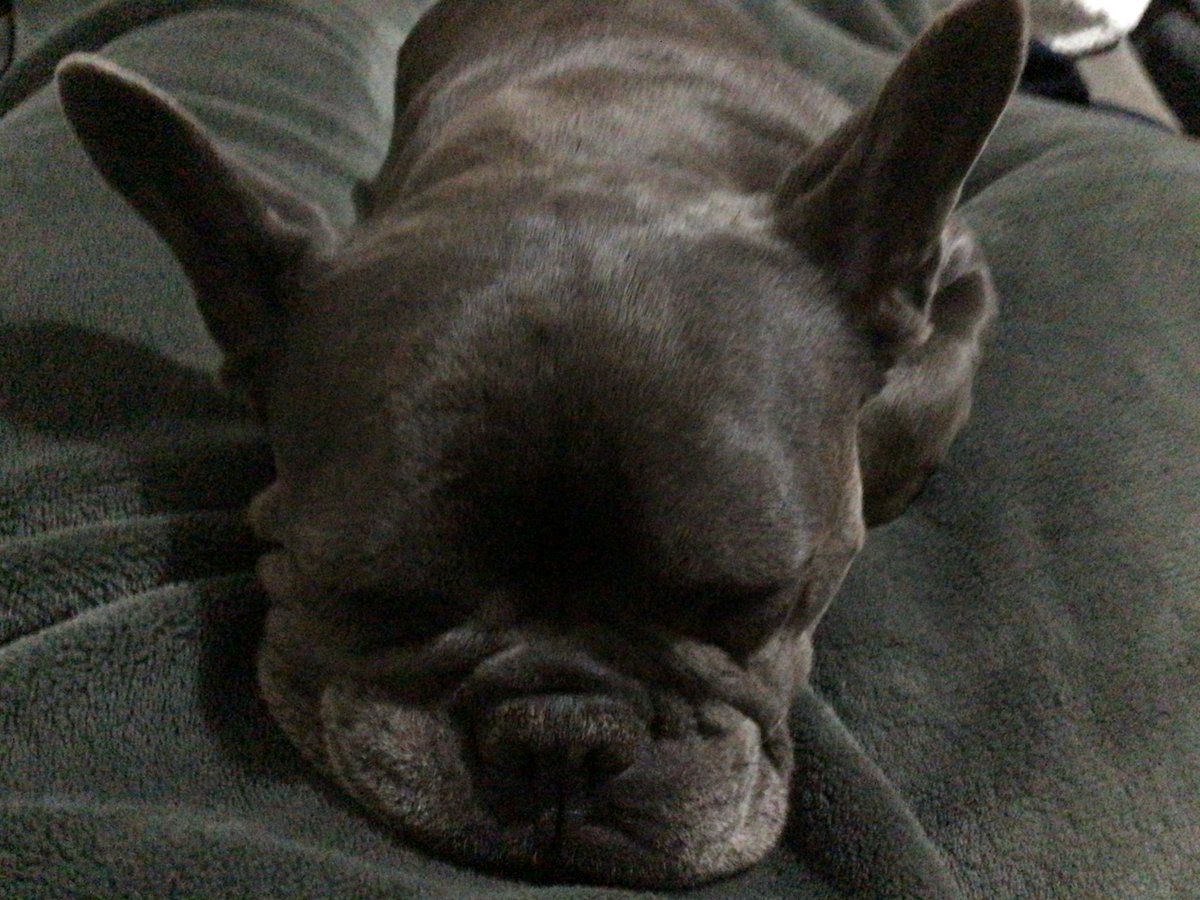 juniephernelia's tweet photo. goodnight #zoranation (the 3 people that like my posts) have my baby girl who turns 7 this year! https://t.co/7ydORdh2DM