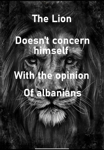 #Albania sucks