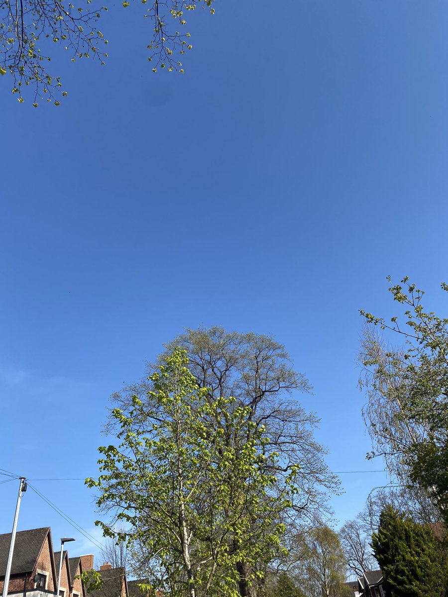 Queens_leey's tweet photo. Todays weather is too good to be true https://t.co/HwEfGO2CVV