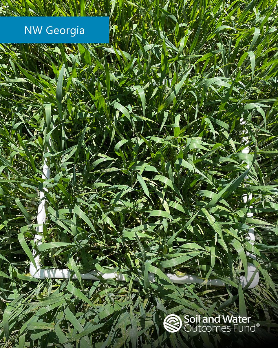 Soil and Water Outcomes Fund tweet media