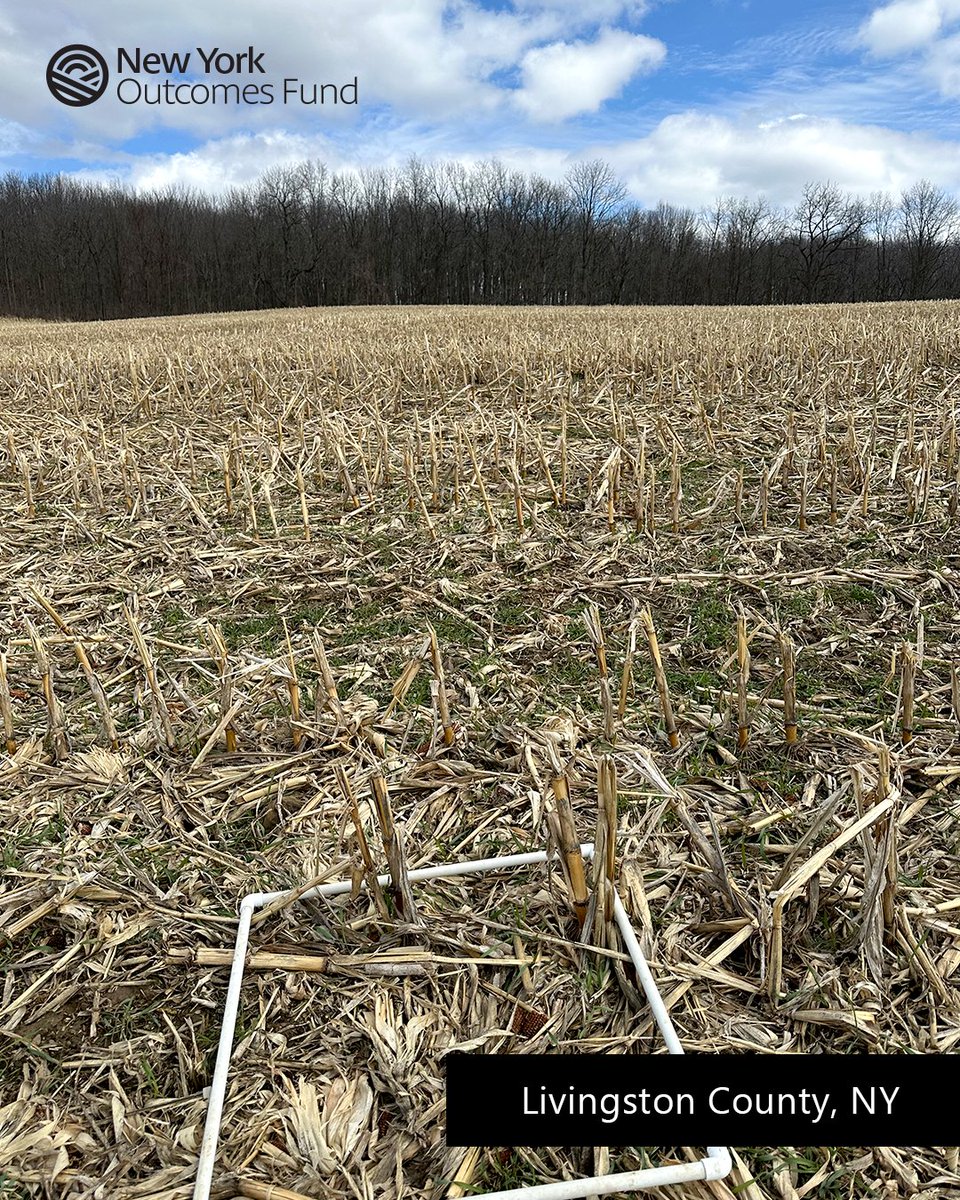 Soil and Water Outcomes Fund tweet media