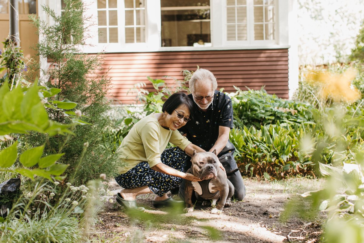 Happy National Pet Day! 🐶🐱🐹
Did you know that some of our neighborhood programs also offer pet food delivery? Ani-Meals: Meals on Wheels for Pets - Twin Cities, a program of <a href="/CES_Minnesota/">Community Emergency Service</a> delivers pet food once a month to Meals on Wheels clients in Minneapolis.